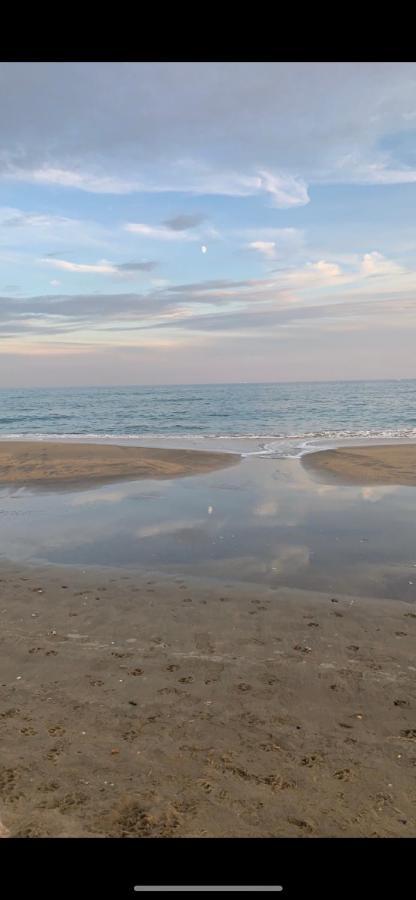La Galinette Setoise Daire Sète Dış mekan fotoğraf